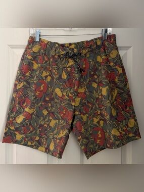 Toad&Co Men's Boundless Pull-On Shorts in the Chive Fruit Print, Medium